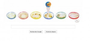 Boite de Petri